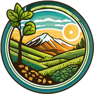 colorado-collective